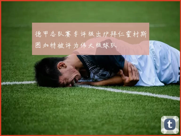 德甲各队赛季评级出炉拜仁霍村斯图加特被评为伟大级球队